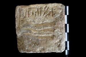 Kazakistan’da Erken Oğuzlara Ait Türk Yazısı Bulundu