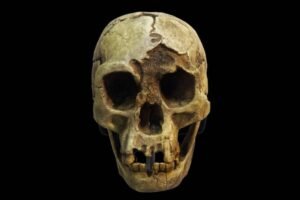 Hobbitlerin Yok Oluş Nedeni, Kuraklık Kaynaklı Rekabet Olabilir