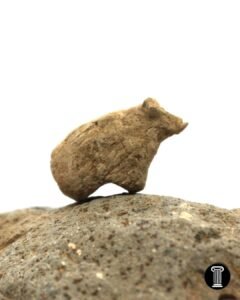 Gürcütepe’de kazılar devam ediyor