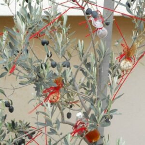 Eiresione – Antik Yunanlıların Noel Ağacı