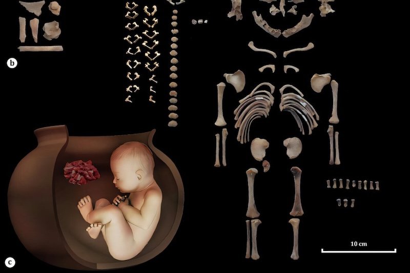 İran’da Çömleklere Gömülmüş 6.500 Yıllık Fetüsler Bulundu