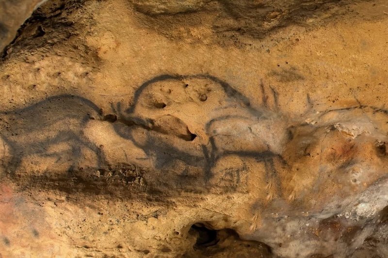 Fransa’da Mağara Resimleri İlk Defa Doğrudan Tarihlendirildi